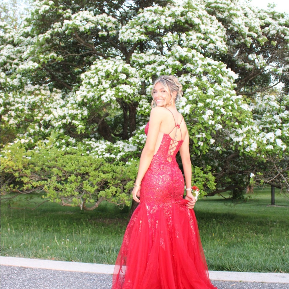 Stunning Red Sequin Gown